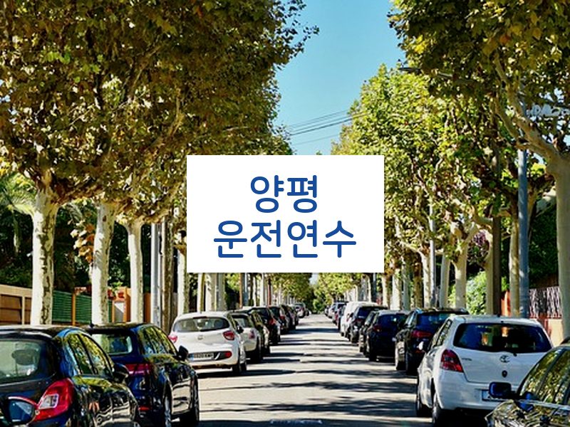 양평운전연수 후기