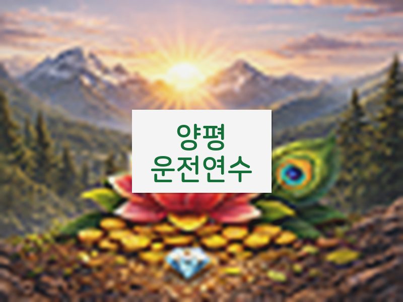 양평운전연수 후기