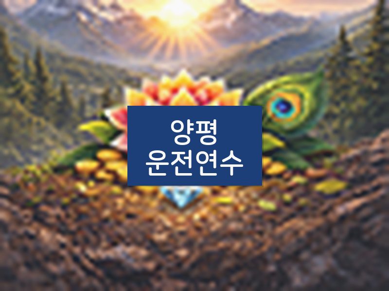 양평운전연수 후기