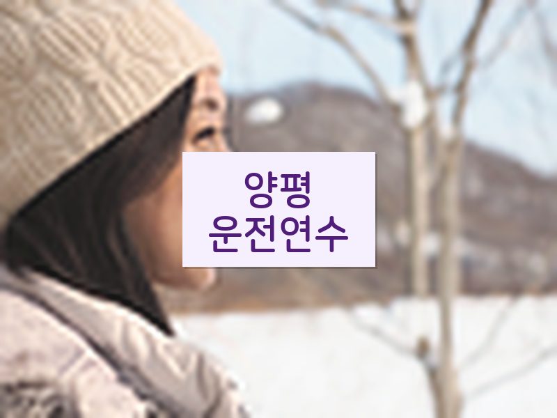 양평운전연수 후기