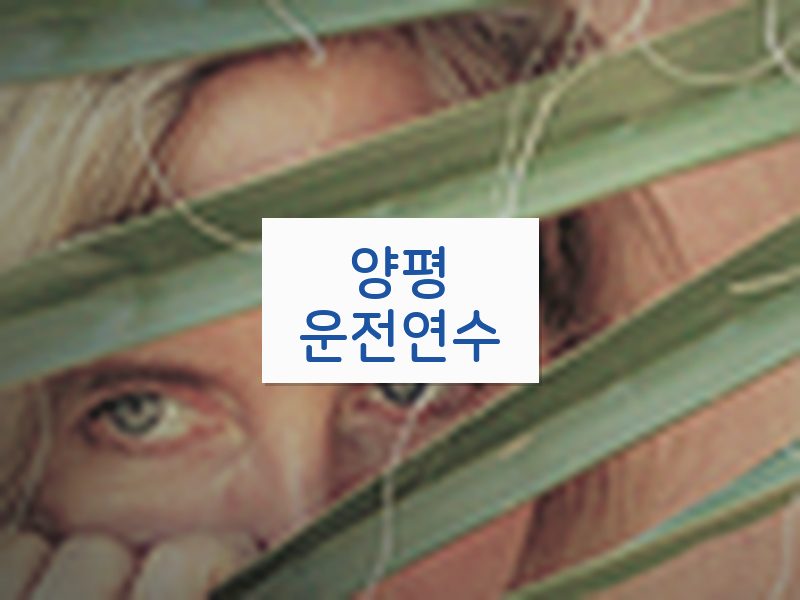 양평운전연수 후기