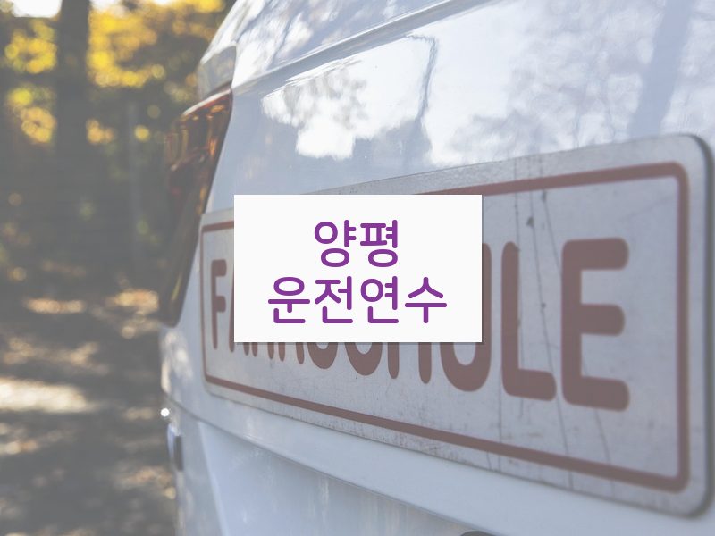 양평운전연수 후기