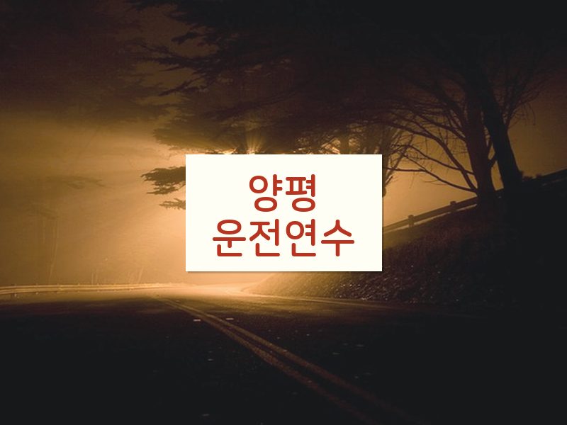 양평운전연수 후기