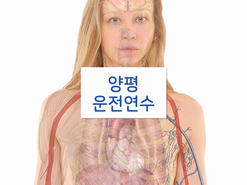 양평운전연수 후기