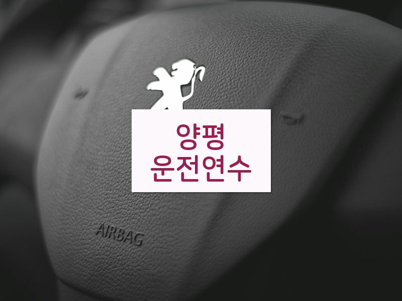 양평운전연수 후기
