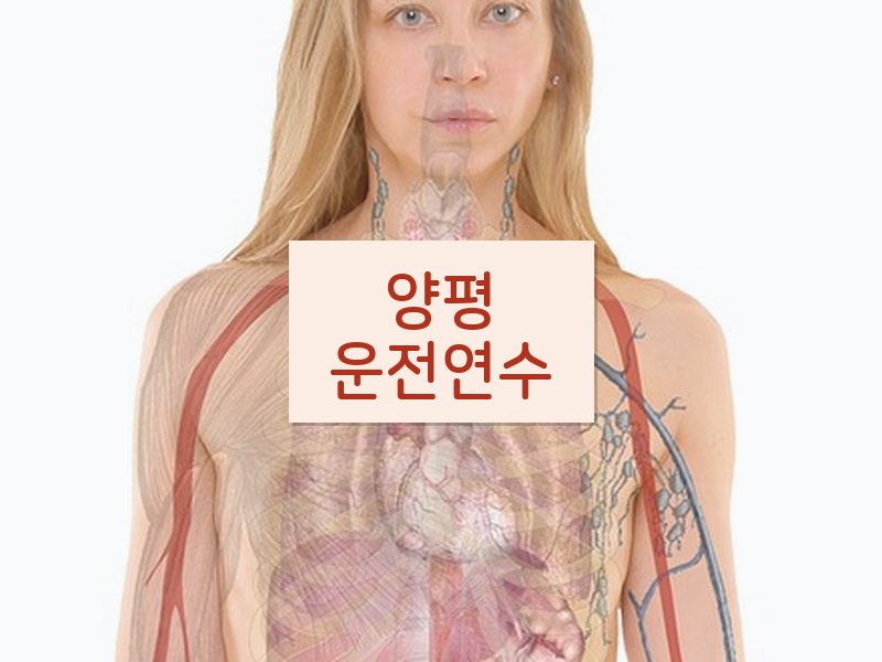 양평운전연수 후기