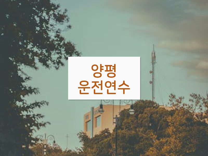 양평운전연수 후기