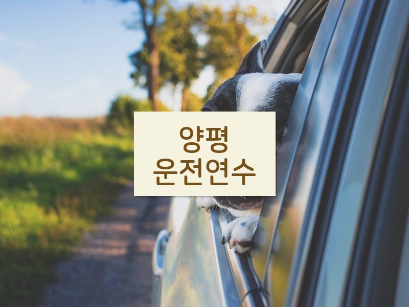 양평운전연수 후기