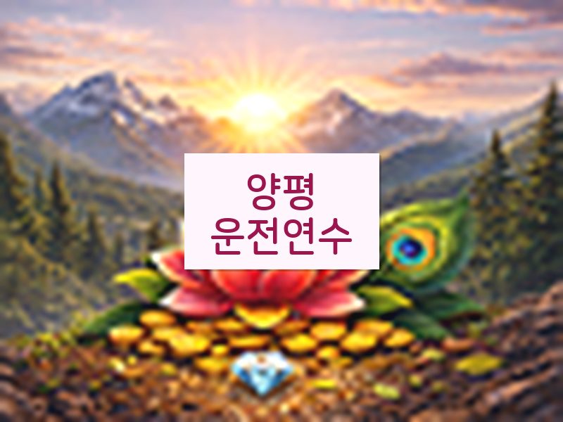 양평운전연수 후기