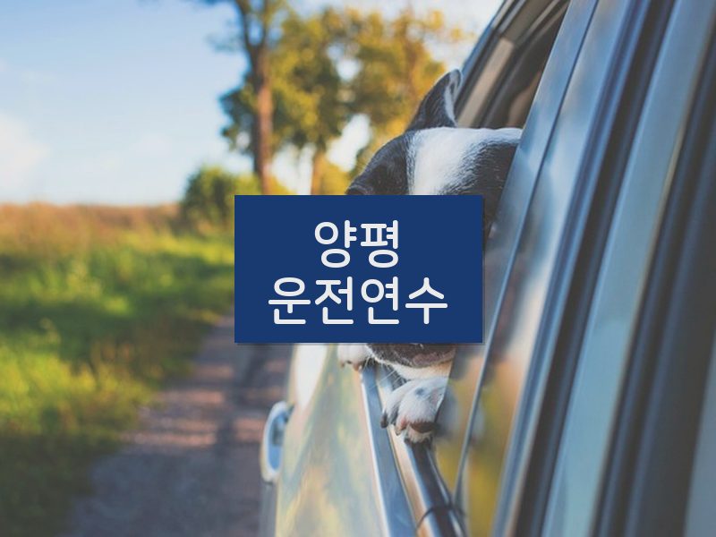 양평운전연수 후기