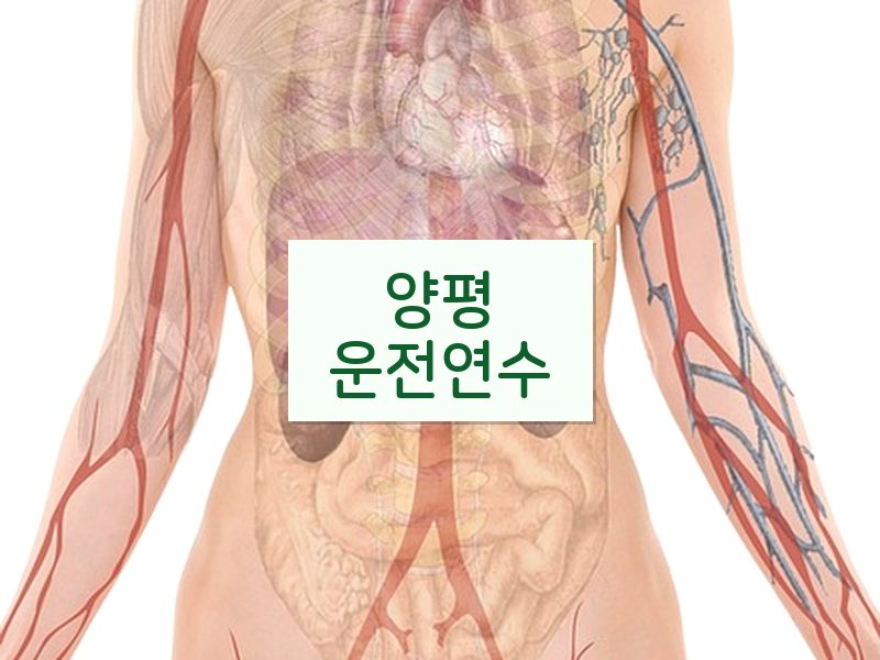 양평운전연수 후기