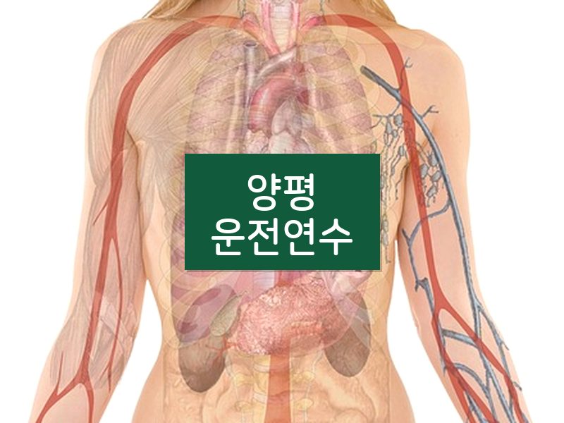 양평운전연수 후기