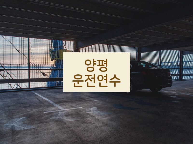 양평운전연수 후기
