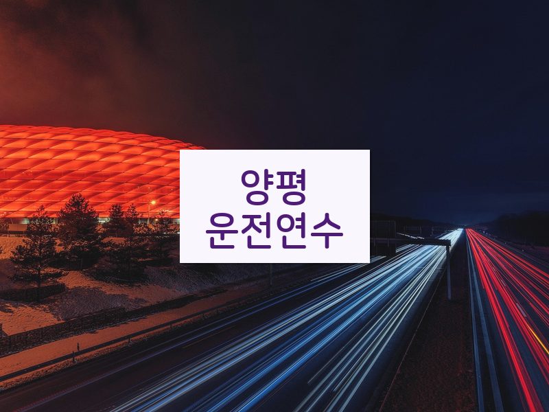 양평운전연수 후기