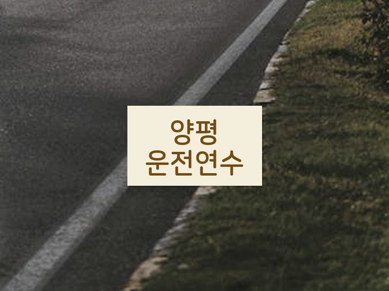 양평운전연수 후기