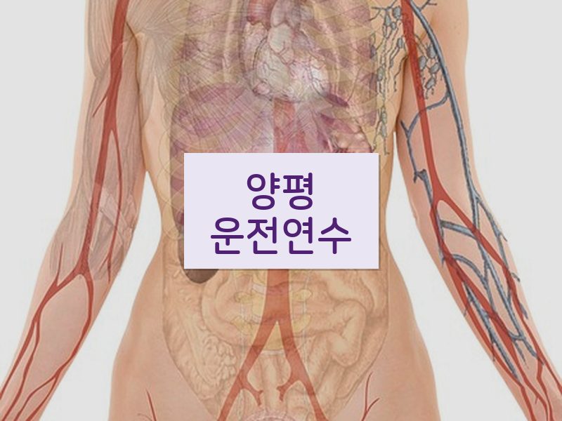 양평운전연수 후기
