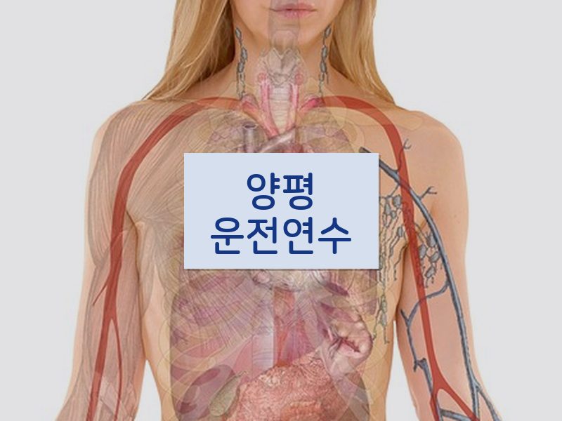 양평운전연수 후기