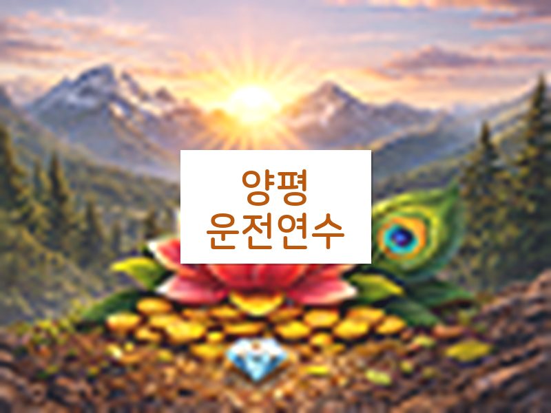 양평운전연수 후기