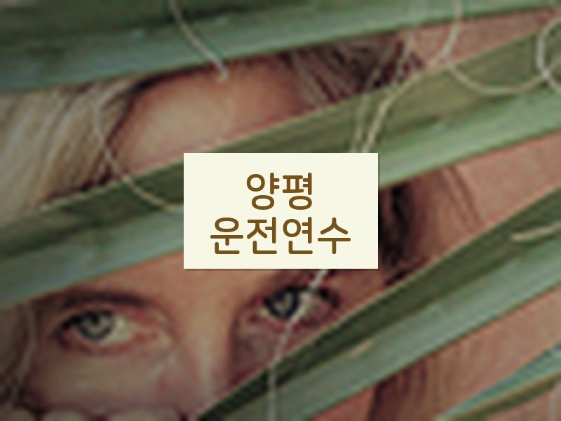 양평운전연수 후기