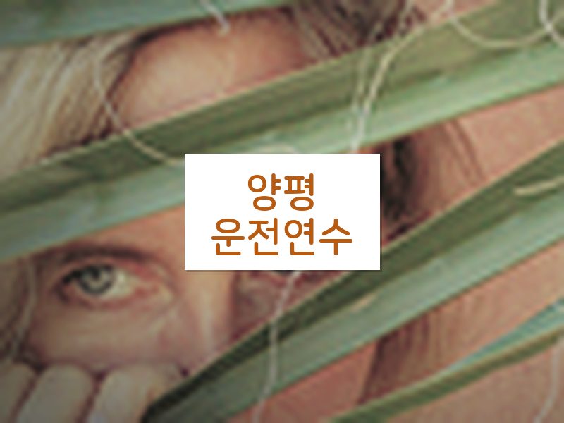 양평운전연수 후기