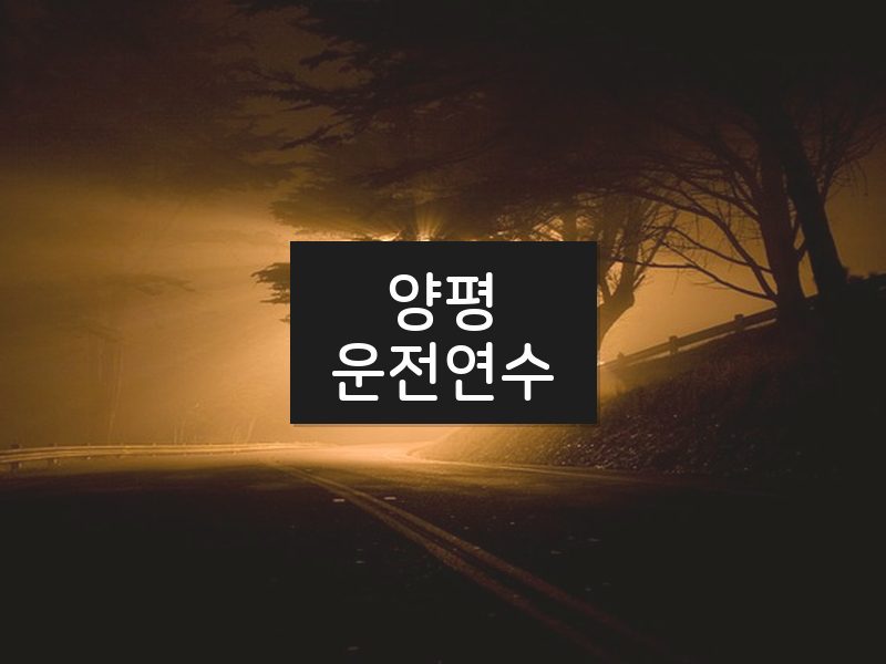 양평운전연수 후기