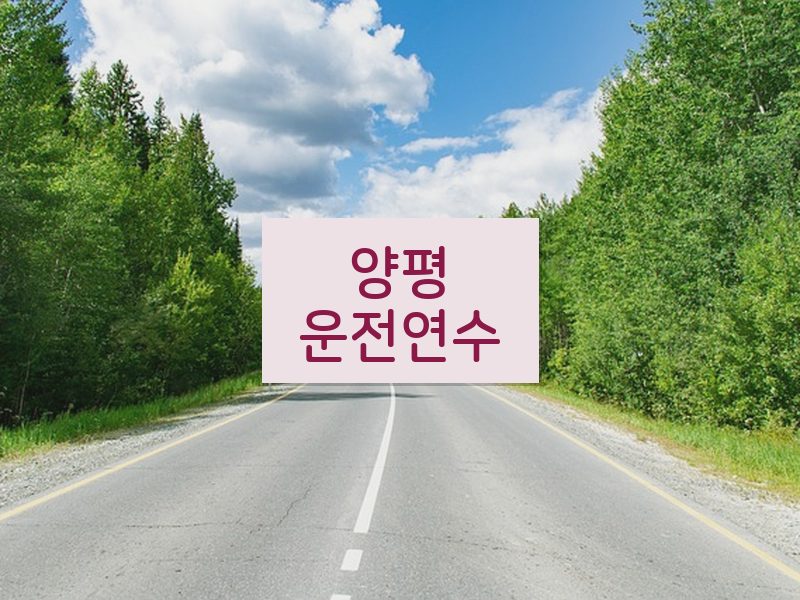 양평운전연수 후기