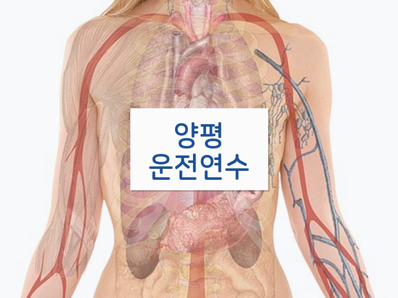 양평운전연수 후기