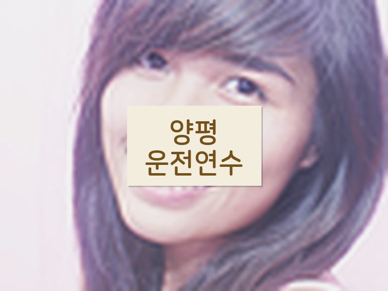 양평운전연수 후기