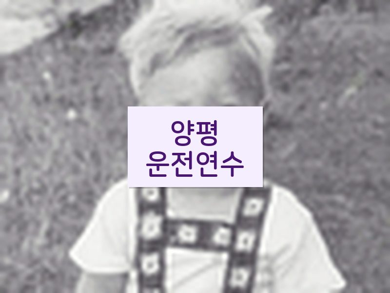 양평운전연수 후기