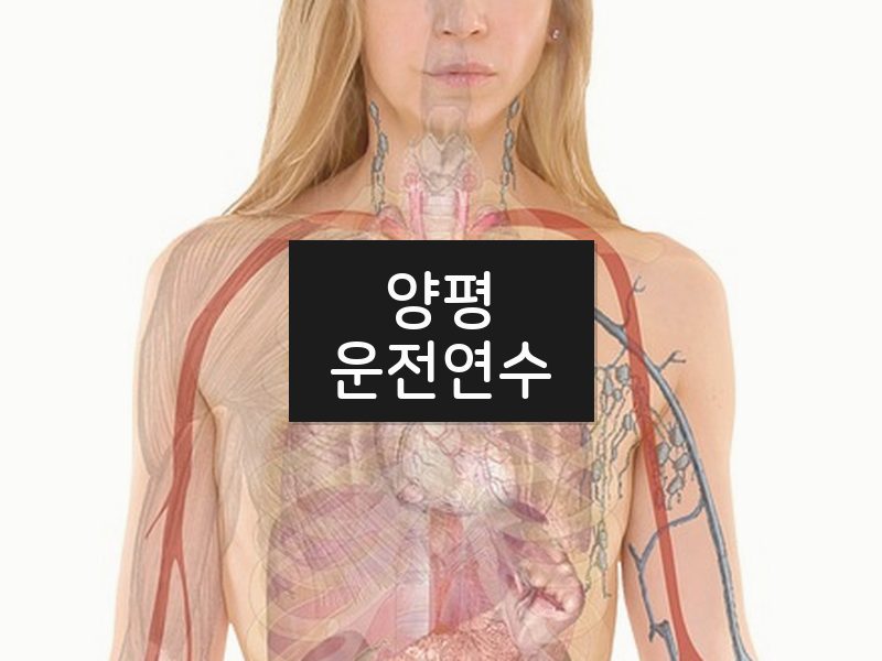 양평운전연수 후기