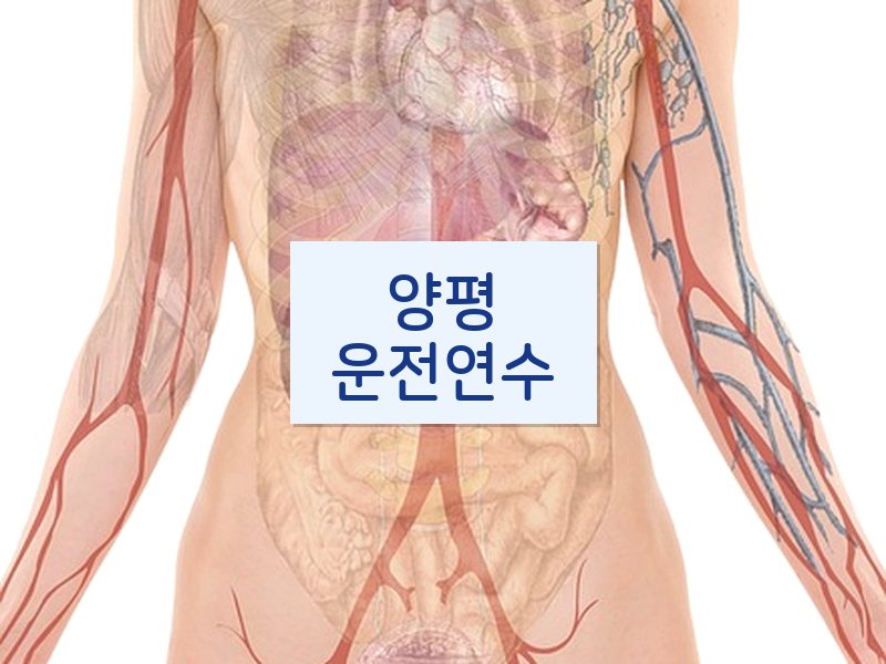 양평운전연수 후기