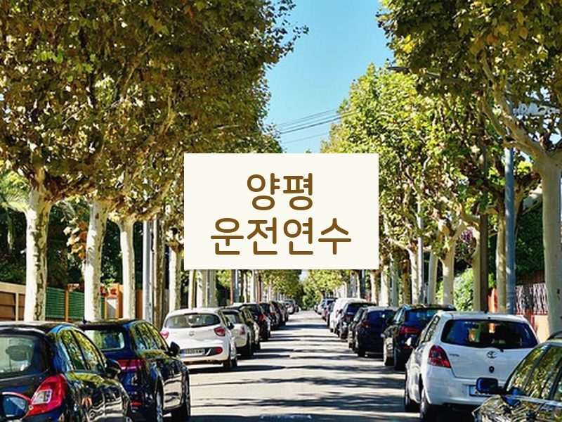 양평운전연수 후기