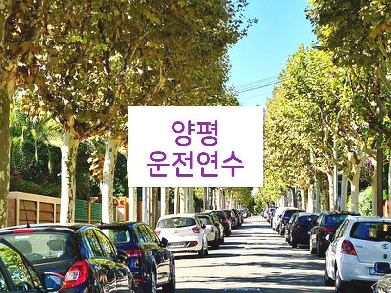 양평운전연수 후기