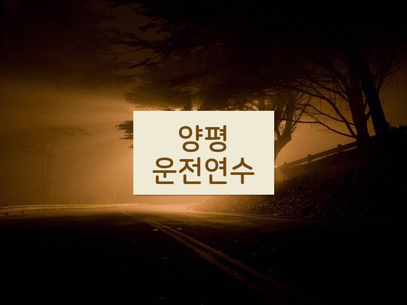 양평운전연수 후기