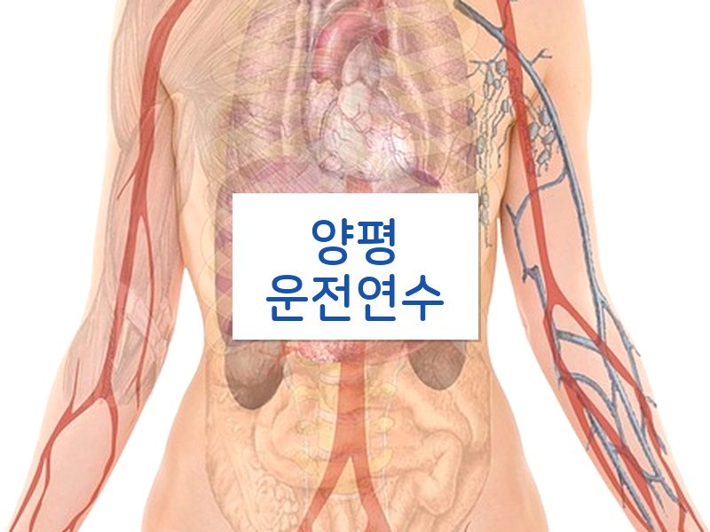 양평운전연수 후기