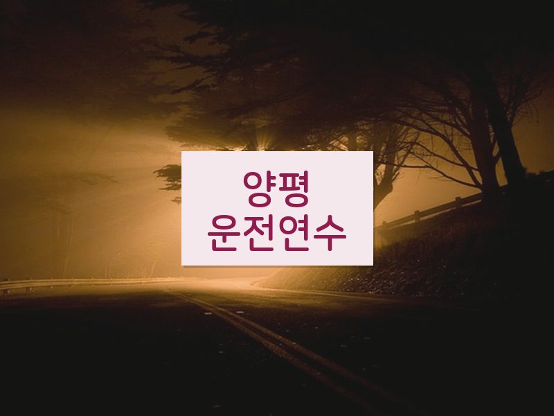 양평운전연수 후기