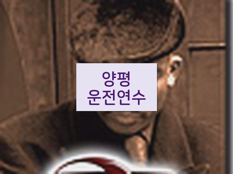 양평운전연수 후기