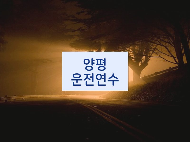 양평운전연수 후기