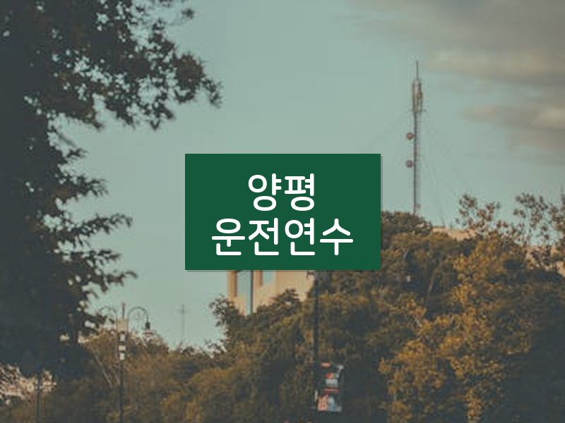 양평운전연수 후기