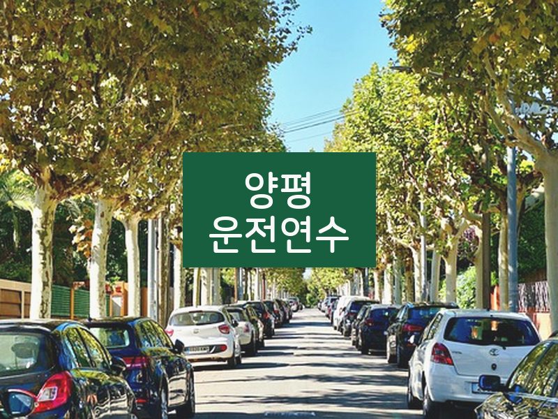 양평운전연수 후기