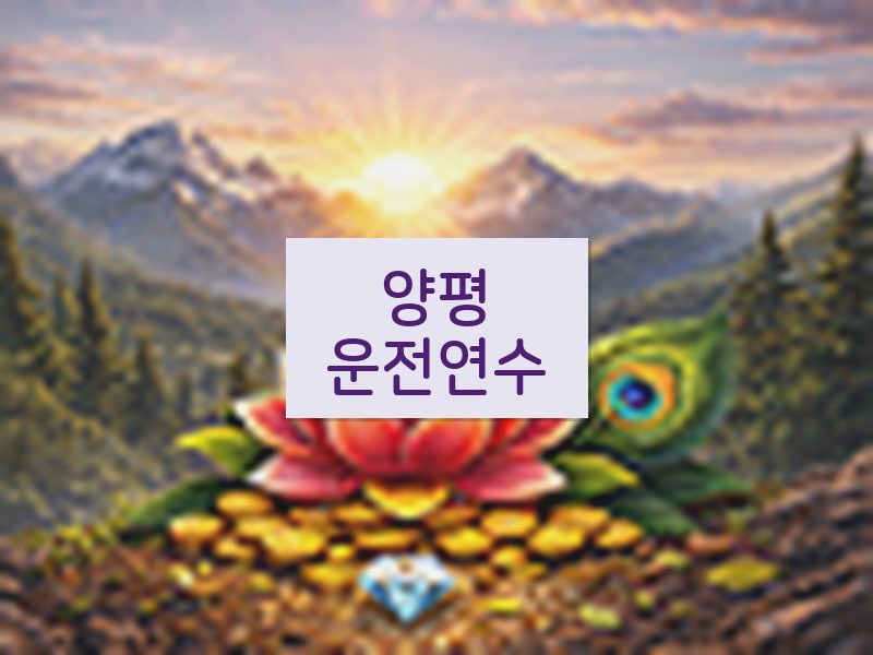 양평운전연수 후기