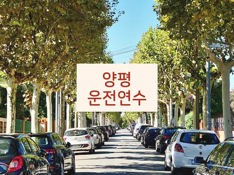 양평운전연수 후기
