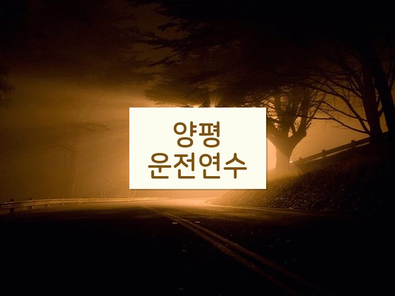 양평운전연수 후기
