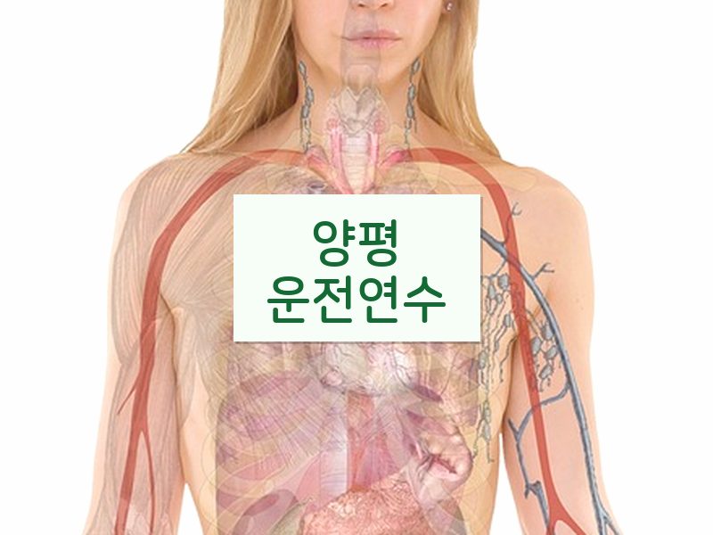 양평운전연수 후기