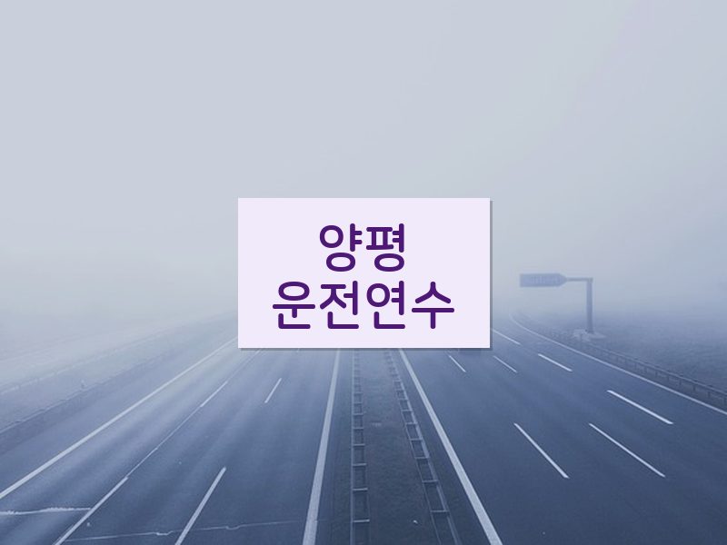 양평운전연수 후기
