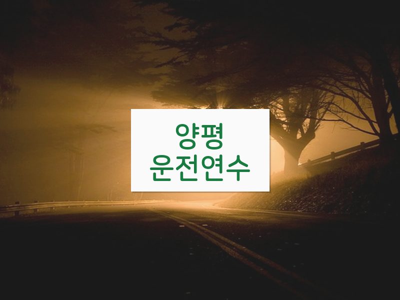 양평운전연수 후기