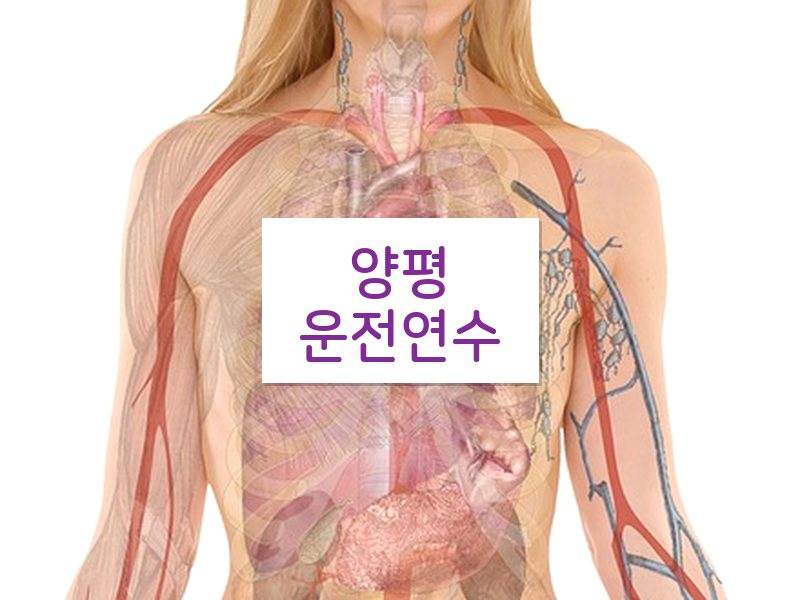 양평운전연수 후기