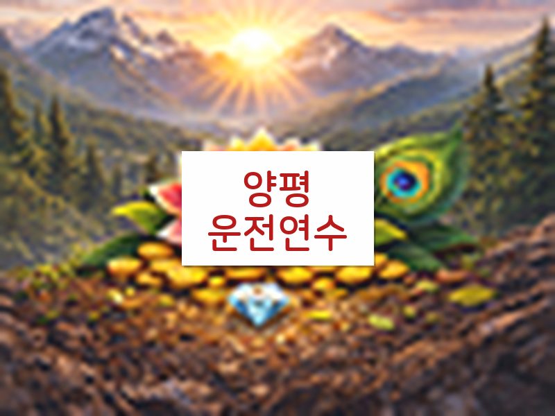 양평운전연수 후기