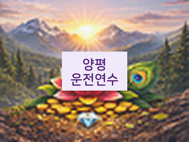 양평운전연수 후기