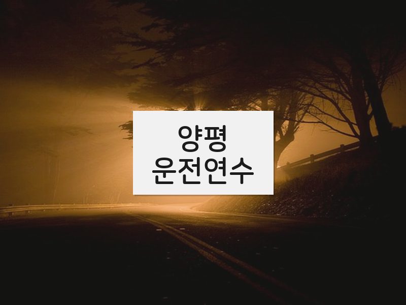 양평운전연수 후기